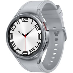 Samsung Galaxy Watch 6 Classic 47mm LTE R965 - Silver